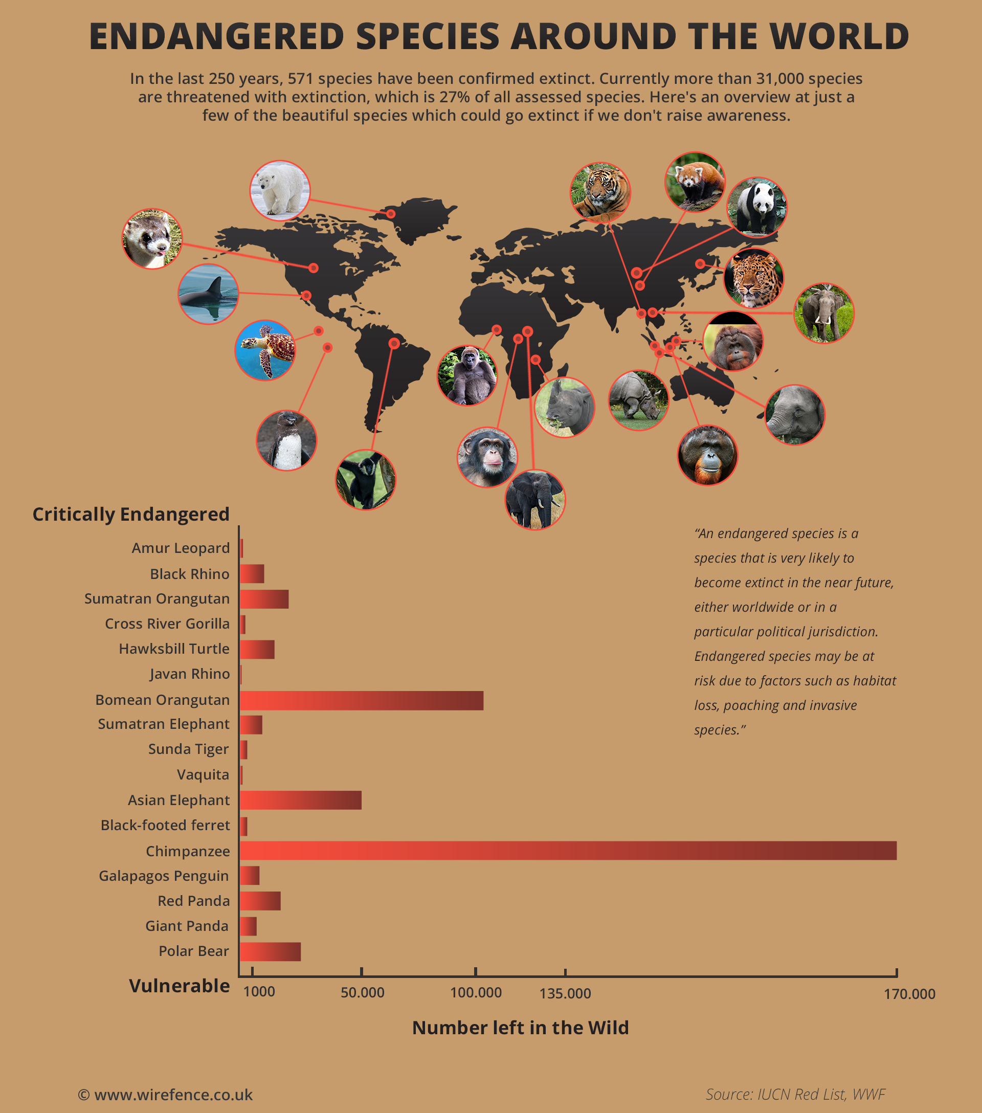 Endangered Species Around the World Our