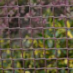 19mm Hole, Brown Plastic Garden Mesh (H50cm x L6m)