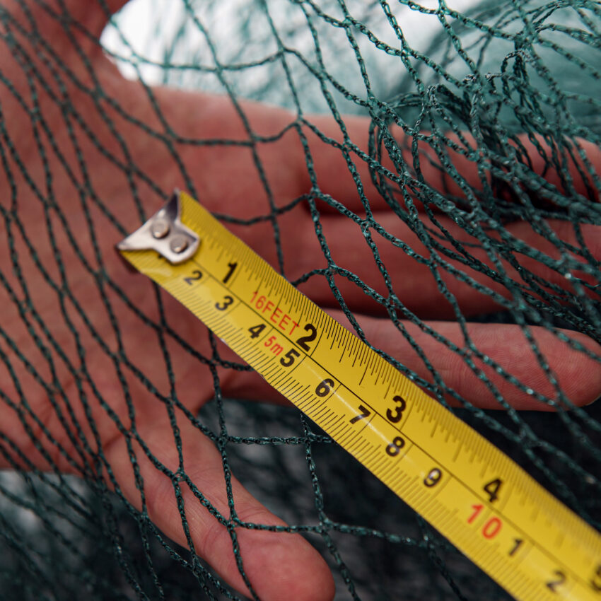 close-up-of-bird-netting