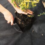 Weed Block Mat (2m x 10m)