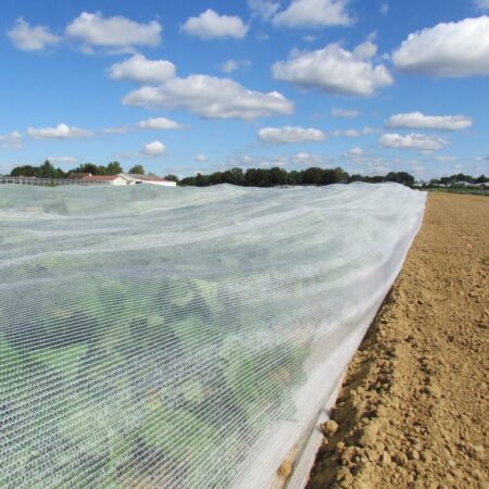 Insect Netting