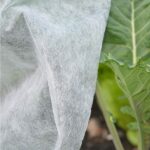 2m x 25m Frost & Climate Protection Fleece