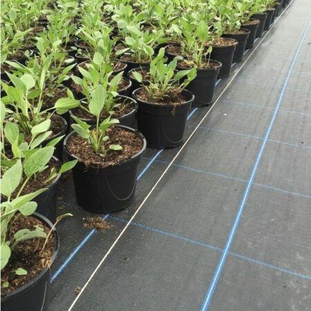 Heavy-Duty-Weed-Membrane-Barrier