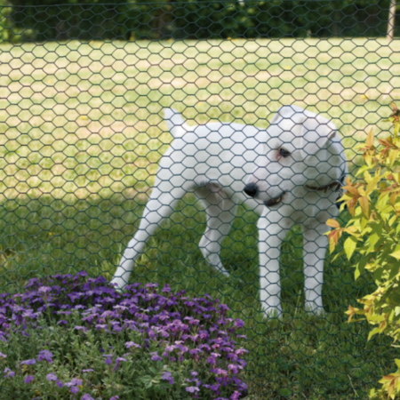 Dog Fencing