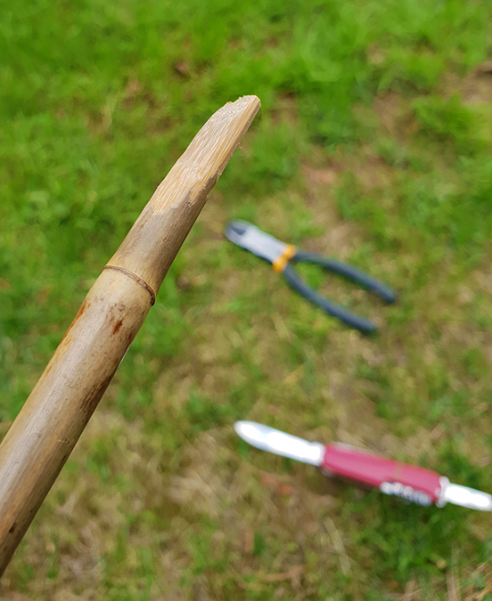 sharpened-stick-for-chicken-wire-tomato-cages