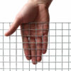 19mm-x-19mm-SUPER-PRIME-Welded-Wire-Mesh-H90cm-x-L30m-16g-closeup