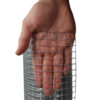 25mm-x-25mm-ECONOMY-Welded-Wire-Mesh-H90cm-x-L6m-19g-close-up