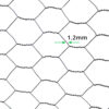 31mm-ECONOMY-Chicken-Wire-Netting (H60cm-x-L50m)-19g-closeup-1.2mm