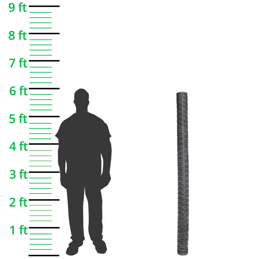 50mm-STANDARD-Chicken-Wire-Netting-H1.8m-x-L50m-19g-height