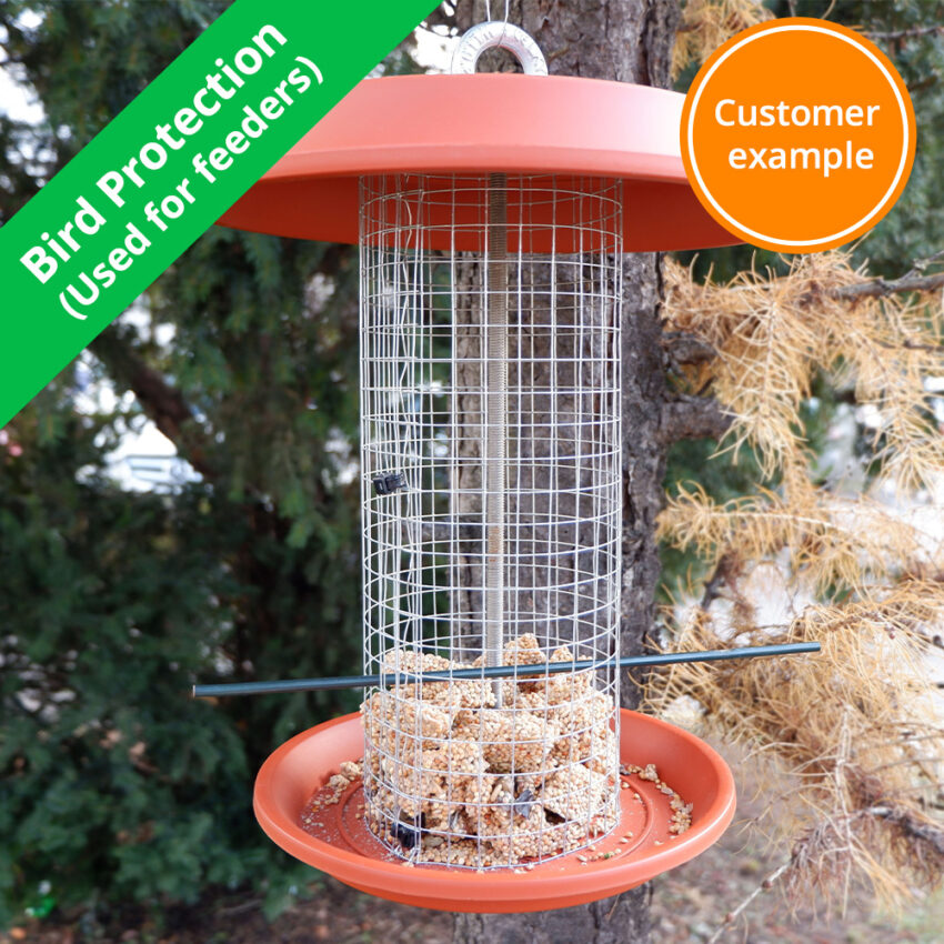 welded-wire-bird-protection