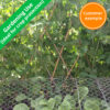 wire-netting-gardening