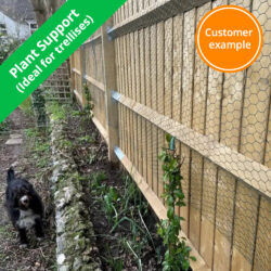 wire-netting-trellis