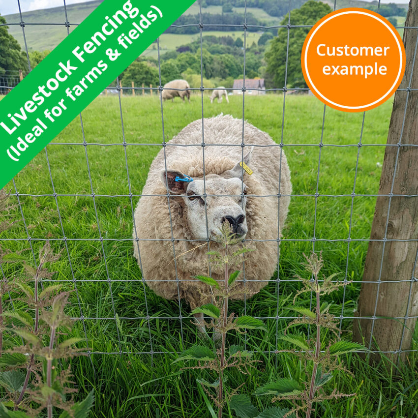 stock-fencing-Livestock-Fencing
