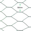 50mm-PVC-Coated-Wire-Netting-(H1m-x-L10m)-20g-hole-size