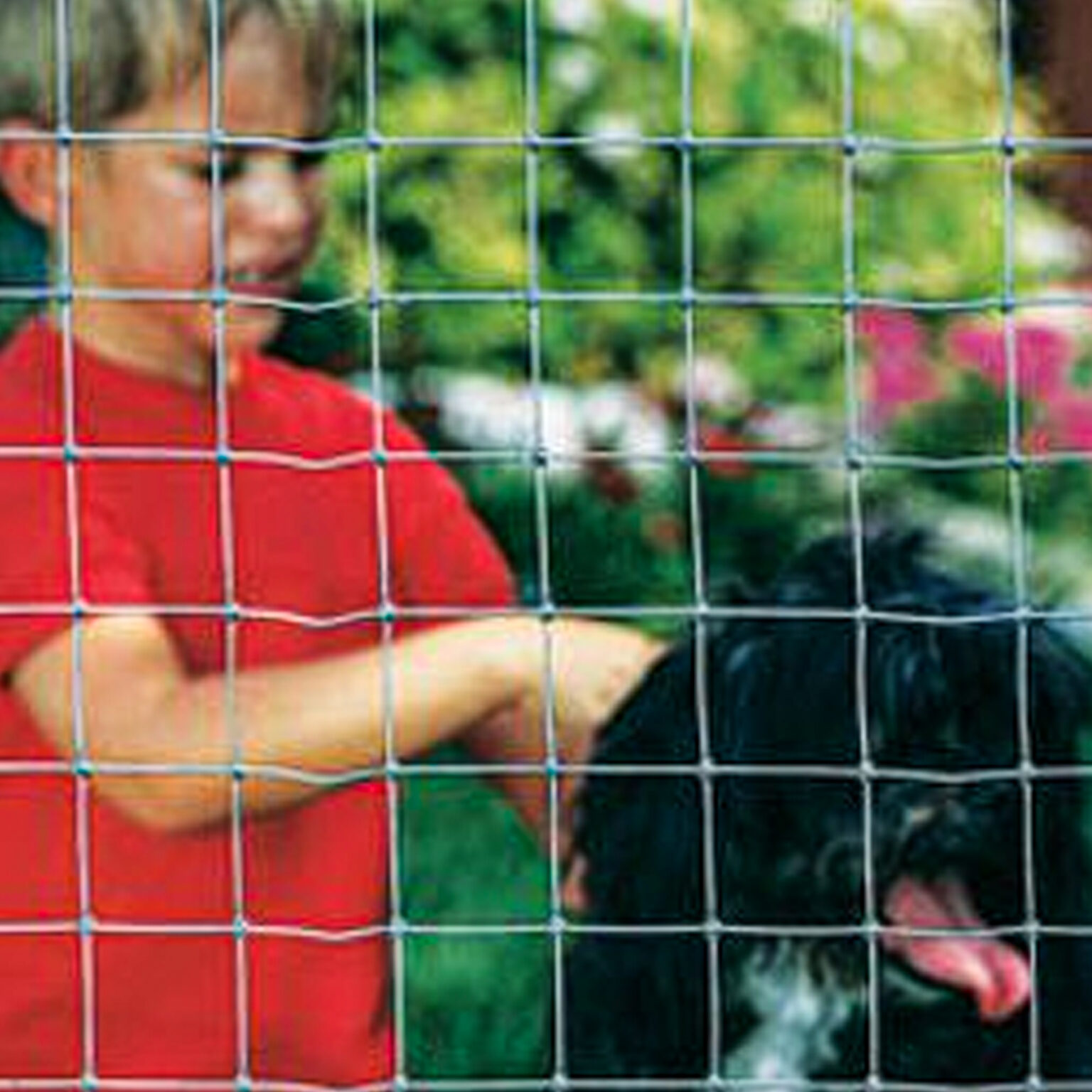 Dog & Kennel Fence