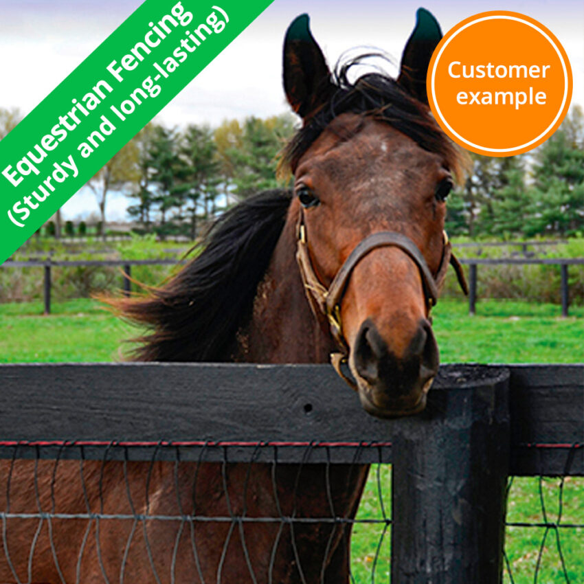 Horse-fencing-customer-example