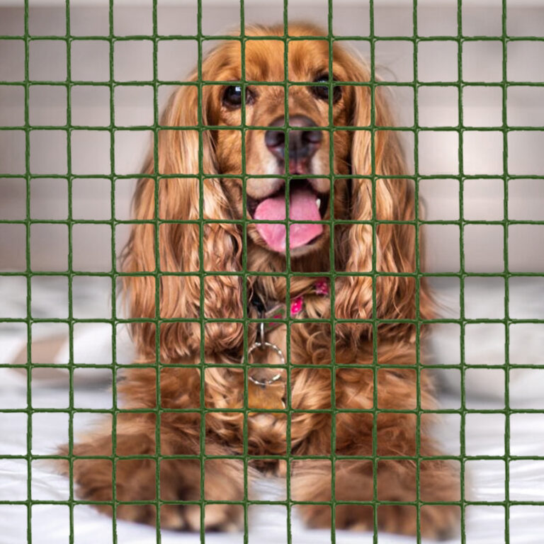 Dog Fence UK Suppliers (QUICK DELIVERY) Wire Fence