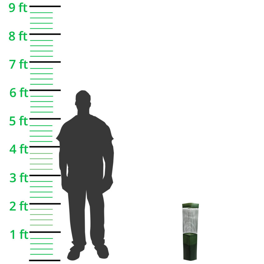 60cm-x-13cm-Green-Plastic-Tree-Guard-Shelter-height-comparison