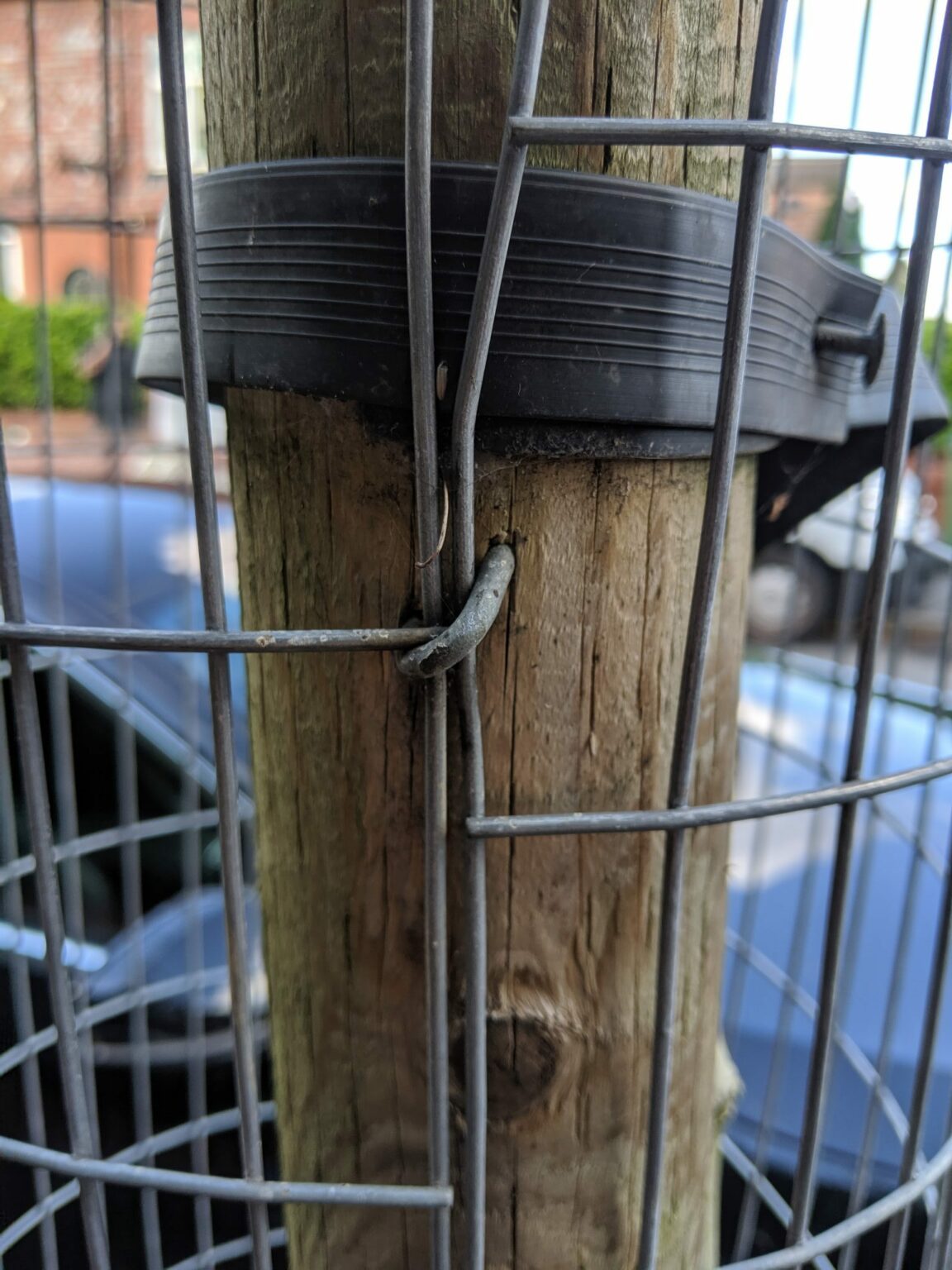 close-up-of-staple-in-tree-guard