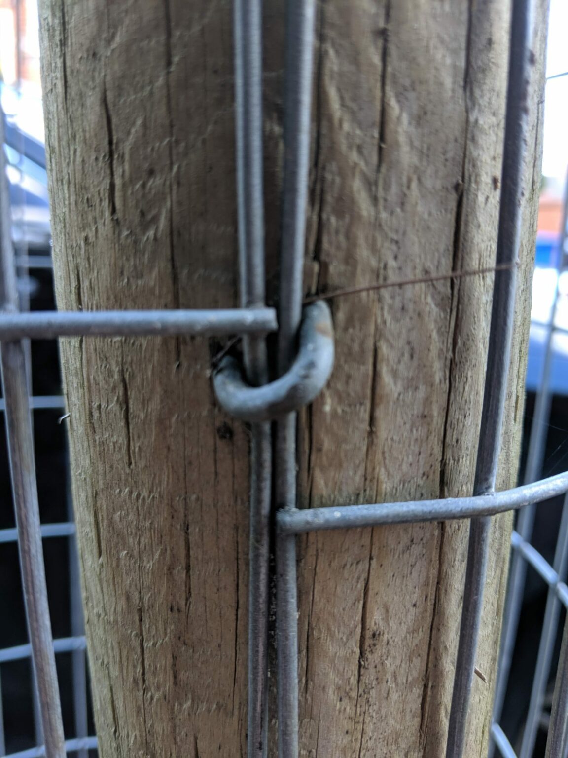 Staple-in-tree-guard