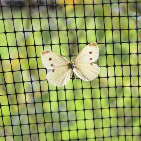 Butterfly Netting