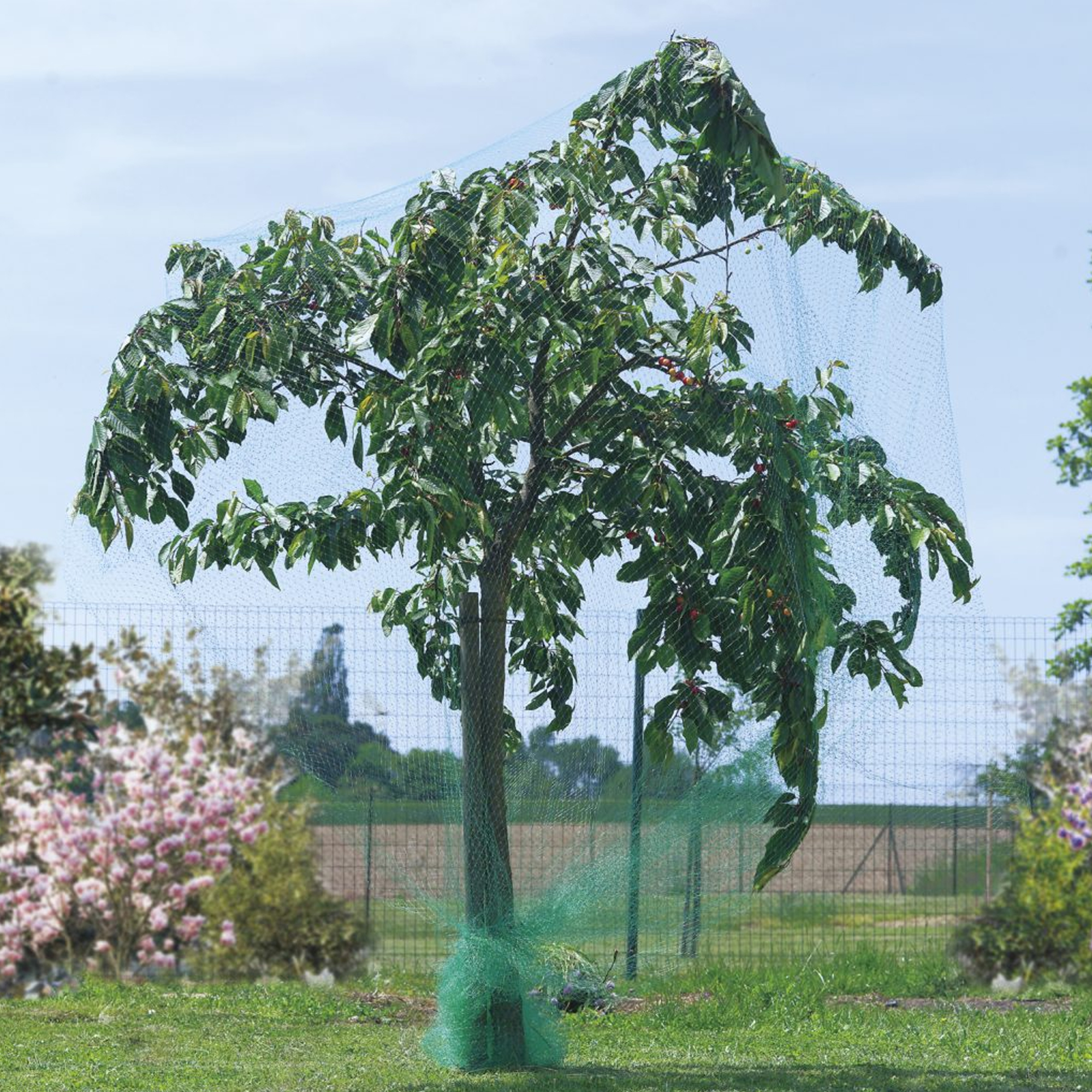 500 x Soft Garden Plant Tie 13cm Flexible Shrubs Vines Tree Fruit Rubber