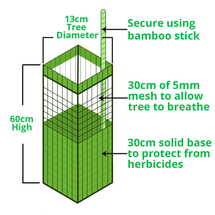 plastic-tree-guards-dimensions-diagram