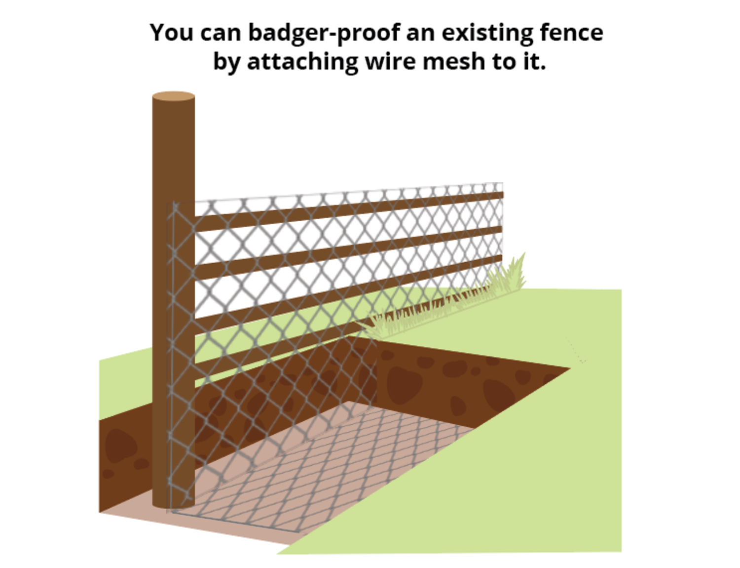 badger-proofing-existing-fence