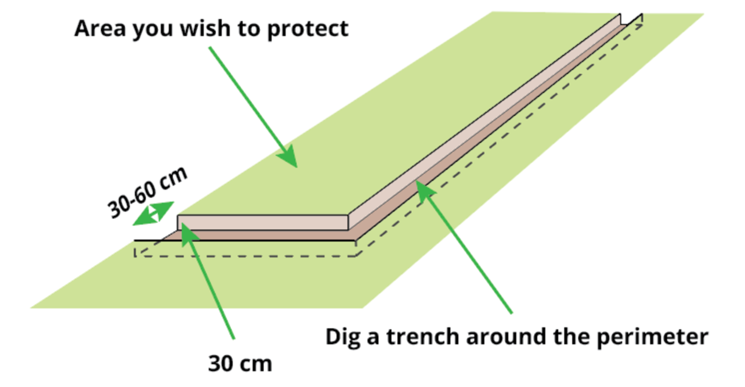 trench-for-badger-fence