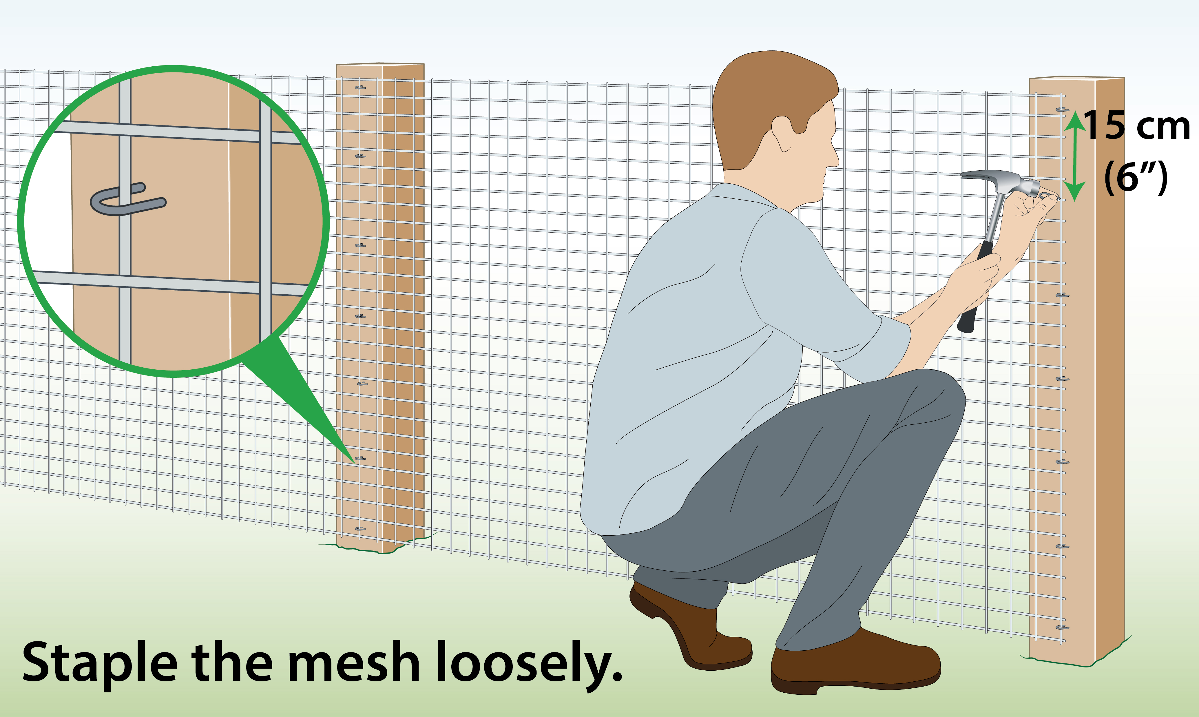 attach-welded-wire-mesh-to-wooden-posts-with-staples