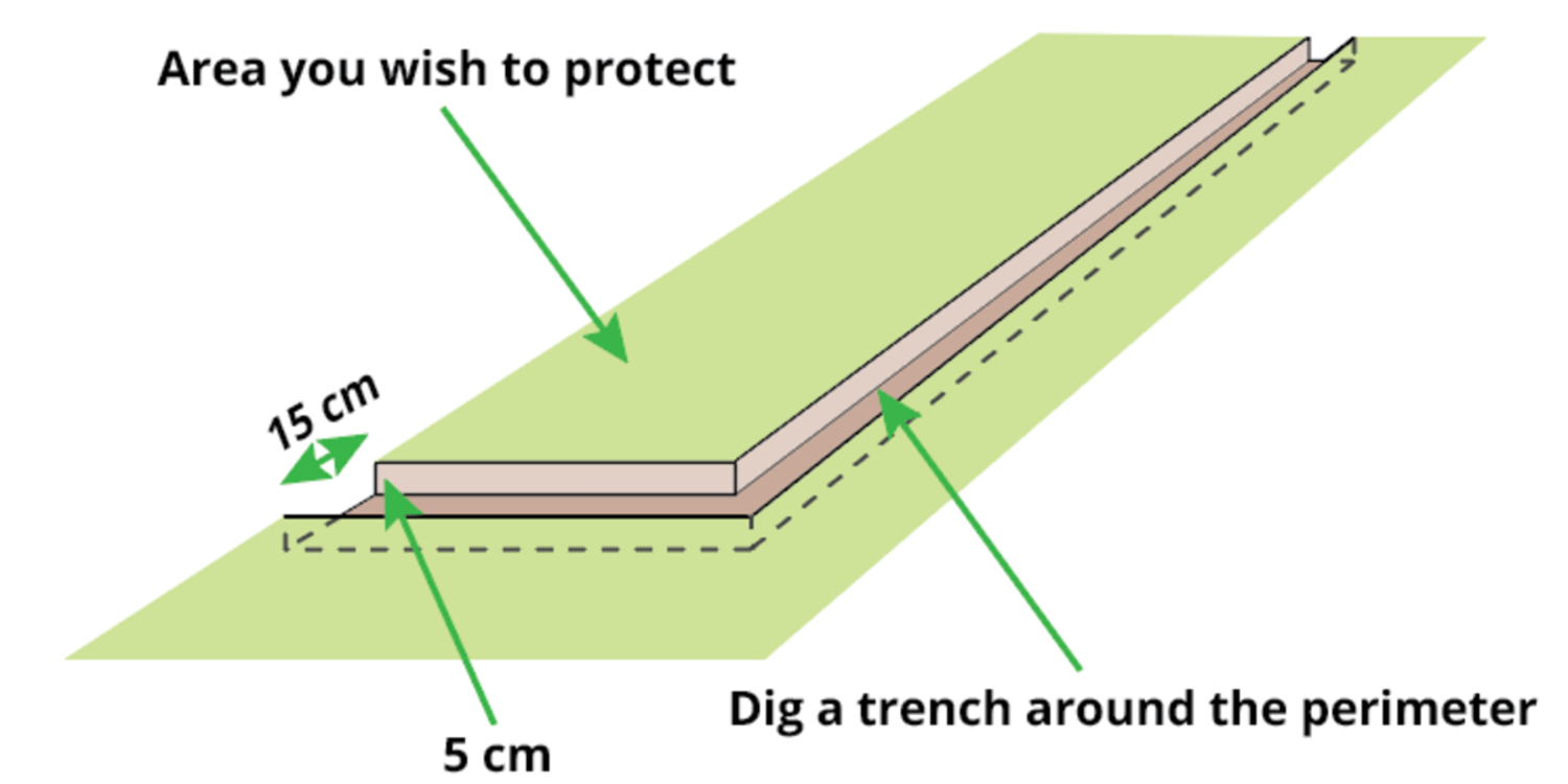 digging-trench-for-rabbit-proof-fence