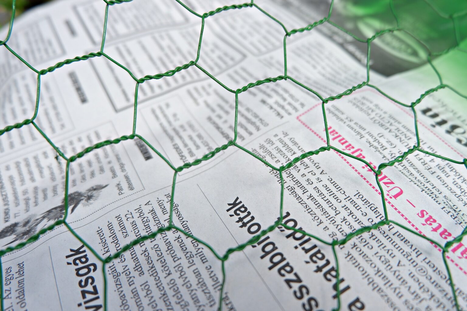 green-chicken-wire-over-newspapers