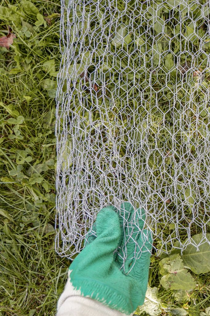folding-chicken-wire-with-protective-gloves