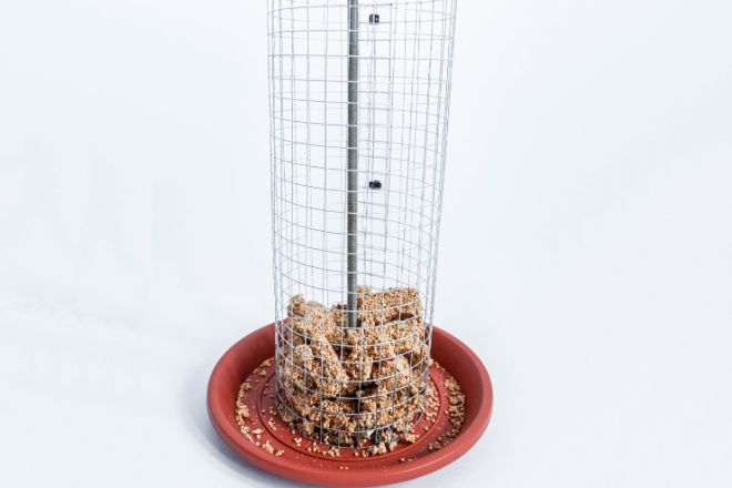 filled-wire-mesh-bird-feeder