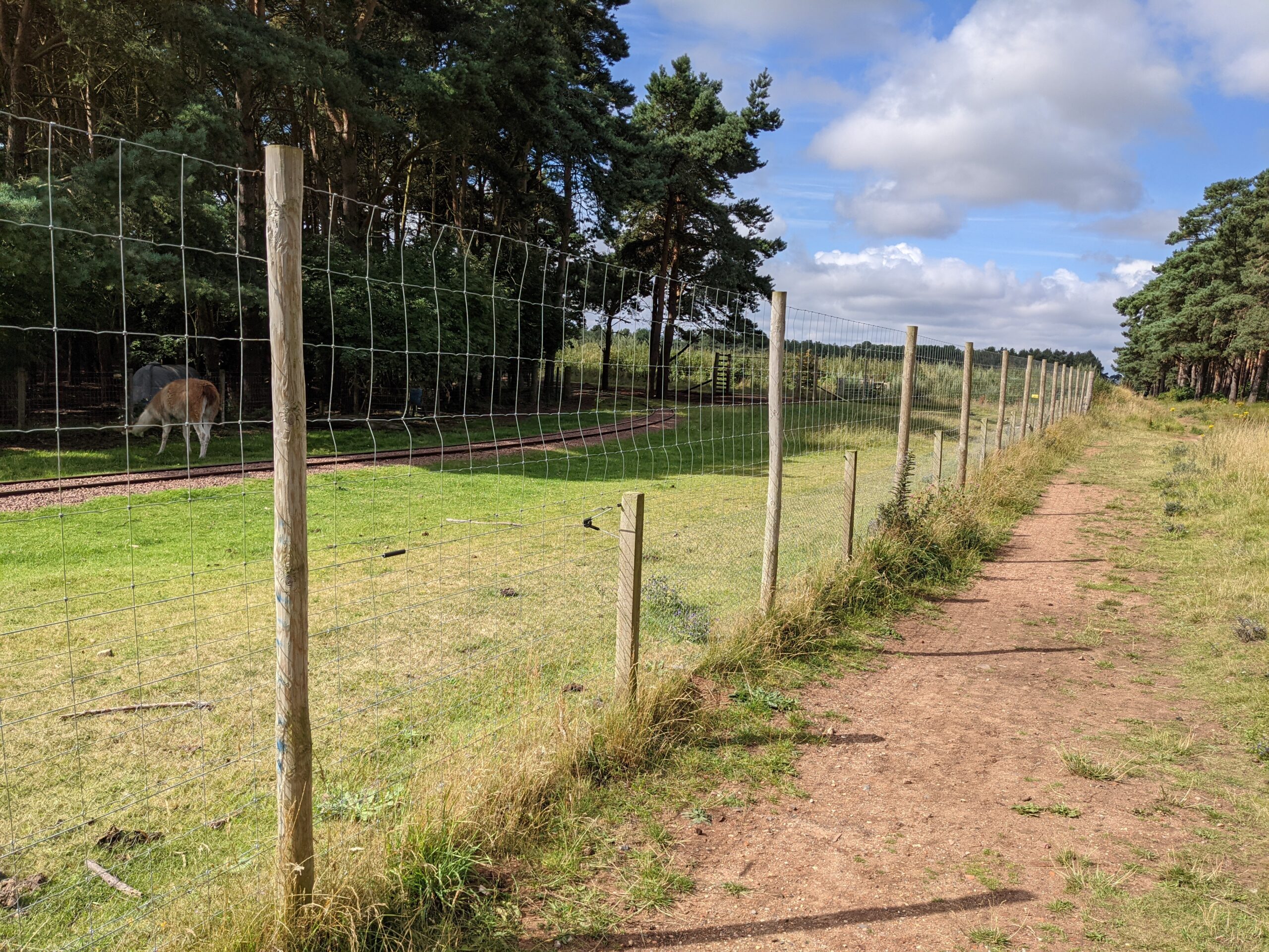 Dog Fencing for Large Areas