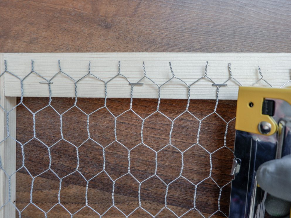 attaching-chicken-wire-to-wood-frame-with-staple-gun