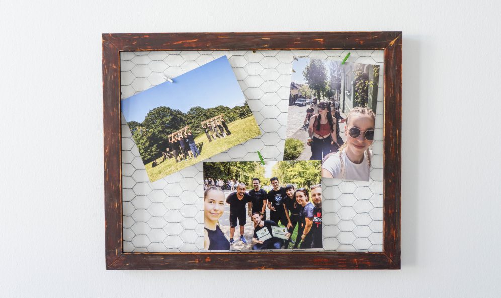 frame-with-chicken-wire-for-pictures