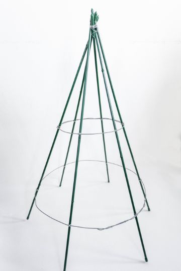 six-stakes-chicken-wire-xmas-tree-with-top-secured