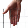 50mm-ECONOMY-Wire-Mesh-Security-Fence-H90cm-x-L25m-12g