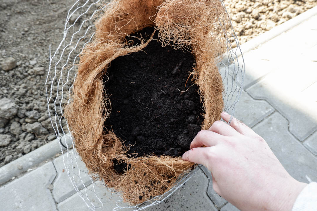 fill-the-sculpture-with-multi-purpose-compost