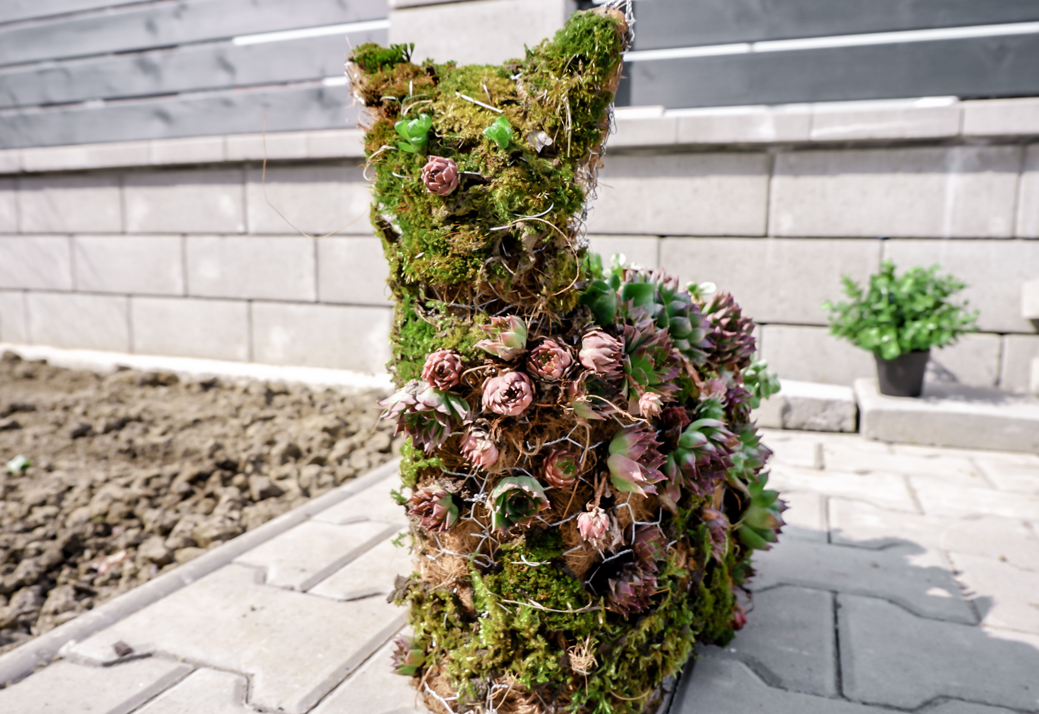 How to Make Topiary Frames with Chicken Wire (Easy Guide) | Wire Fence