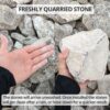 limestone-freshly-quarried