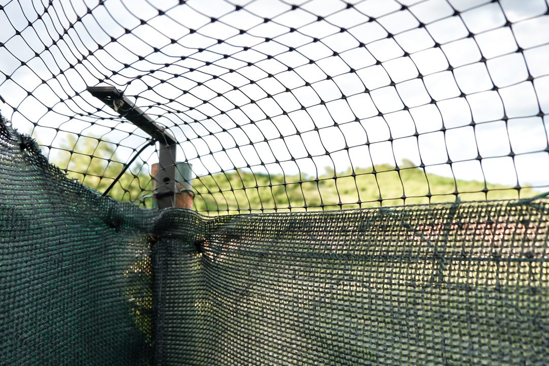 cat-proof-fence-corner