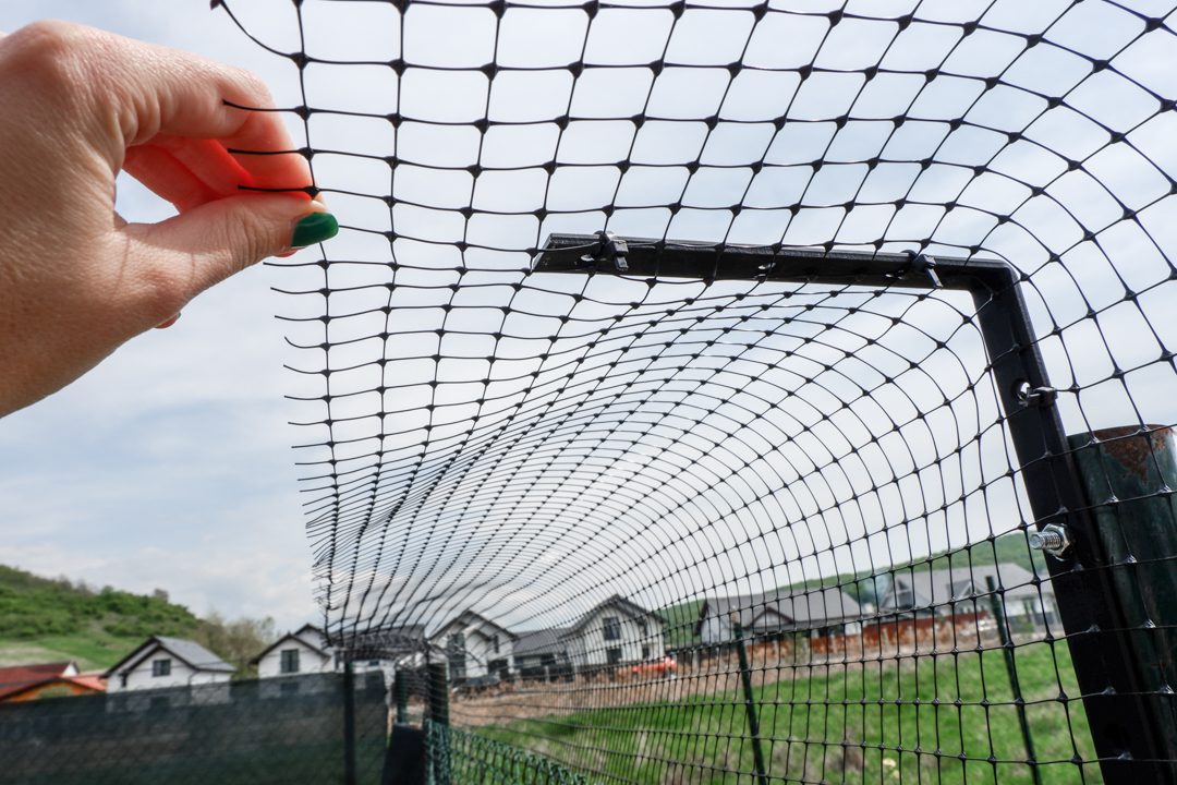 cat-proofing-your-fence