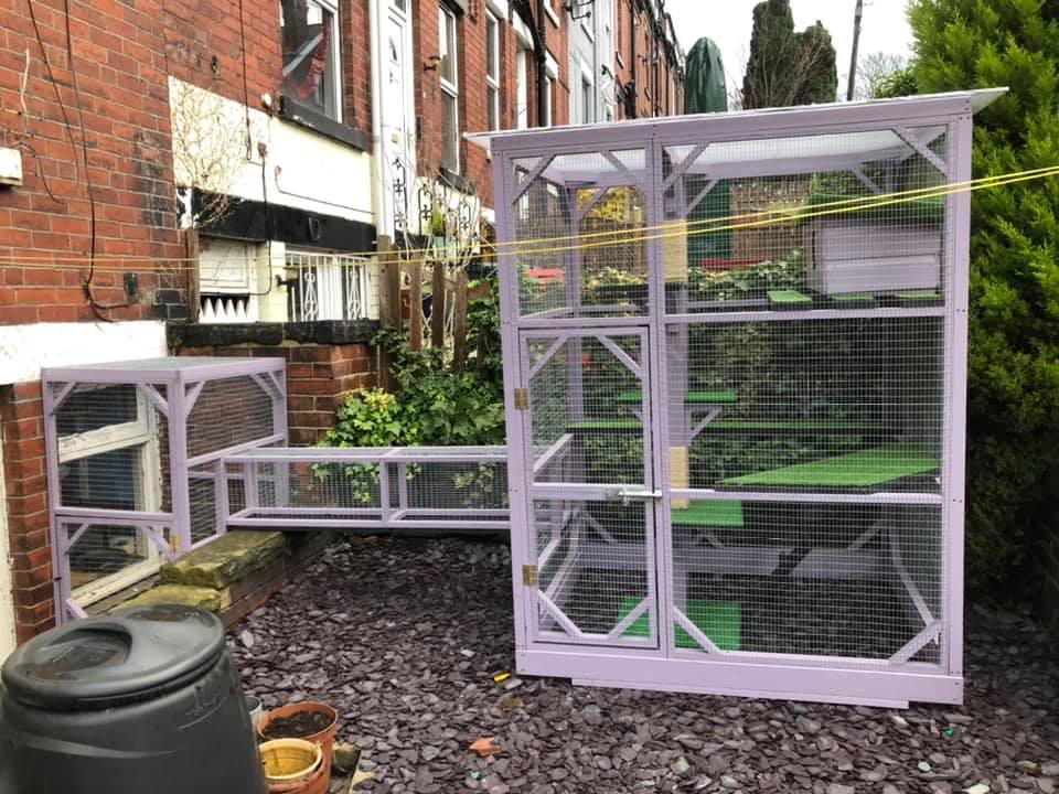 purple-big-catio