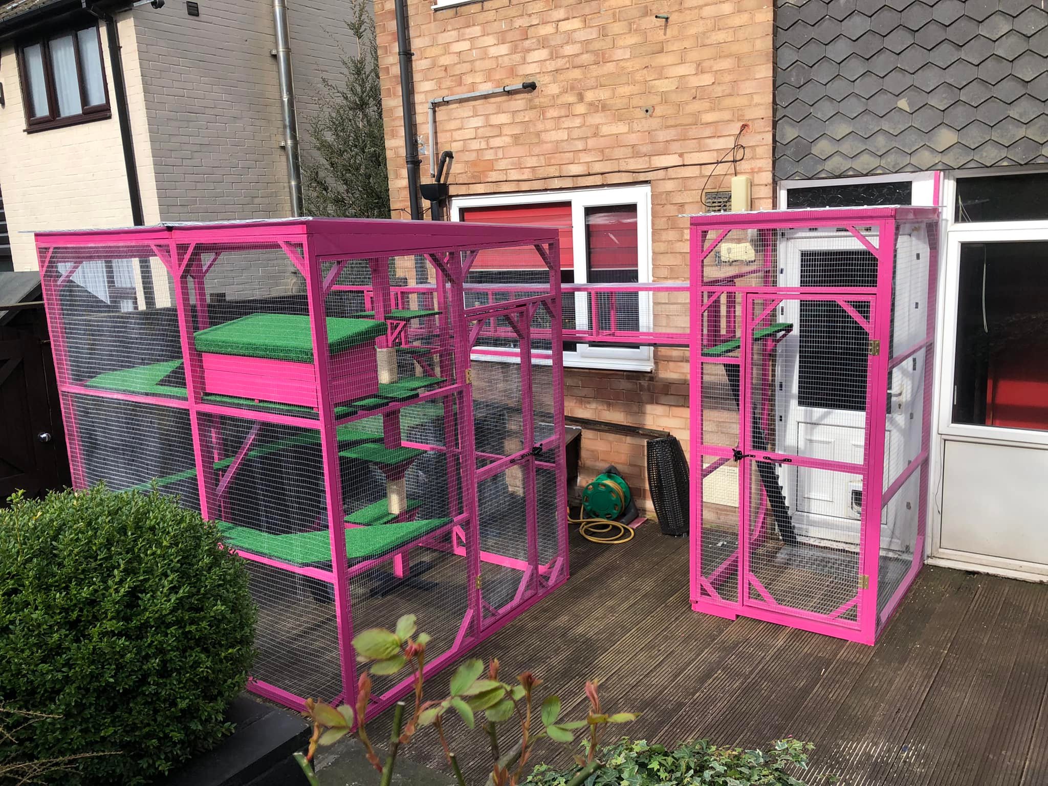 pink-catio