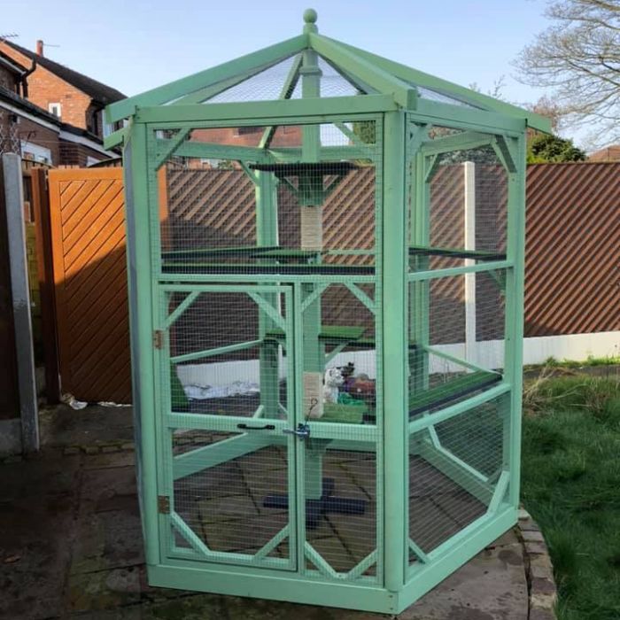 mint-colour-catio