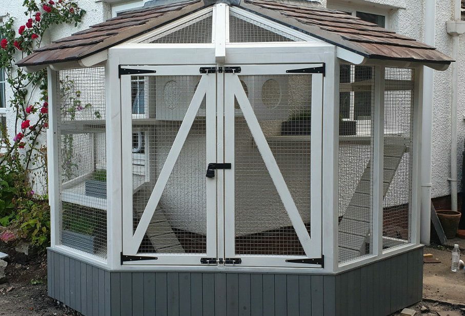 white-catio