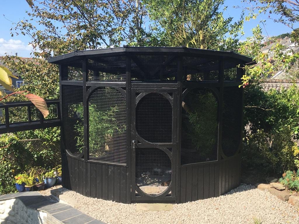 blackest-black-catio
