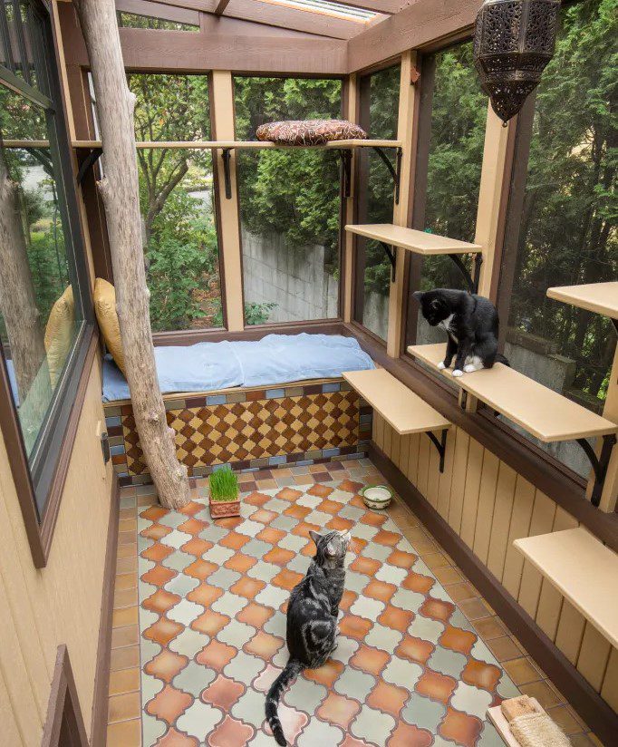 stylish-catio